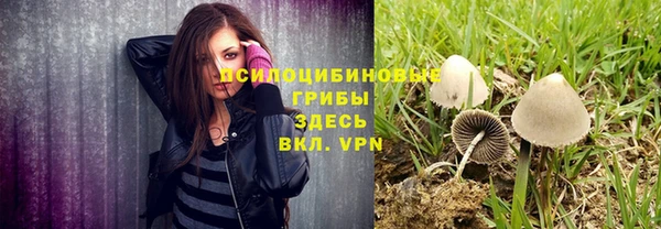 PSILOCYBIN Богданович